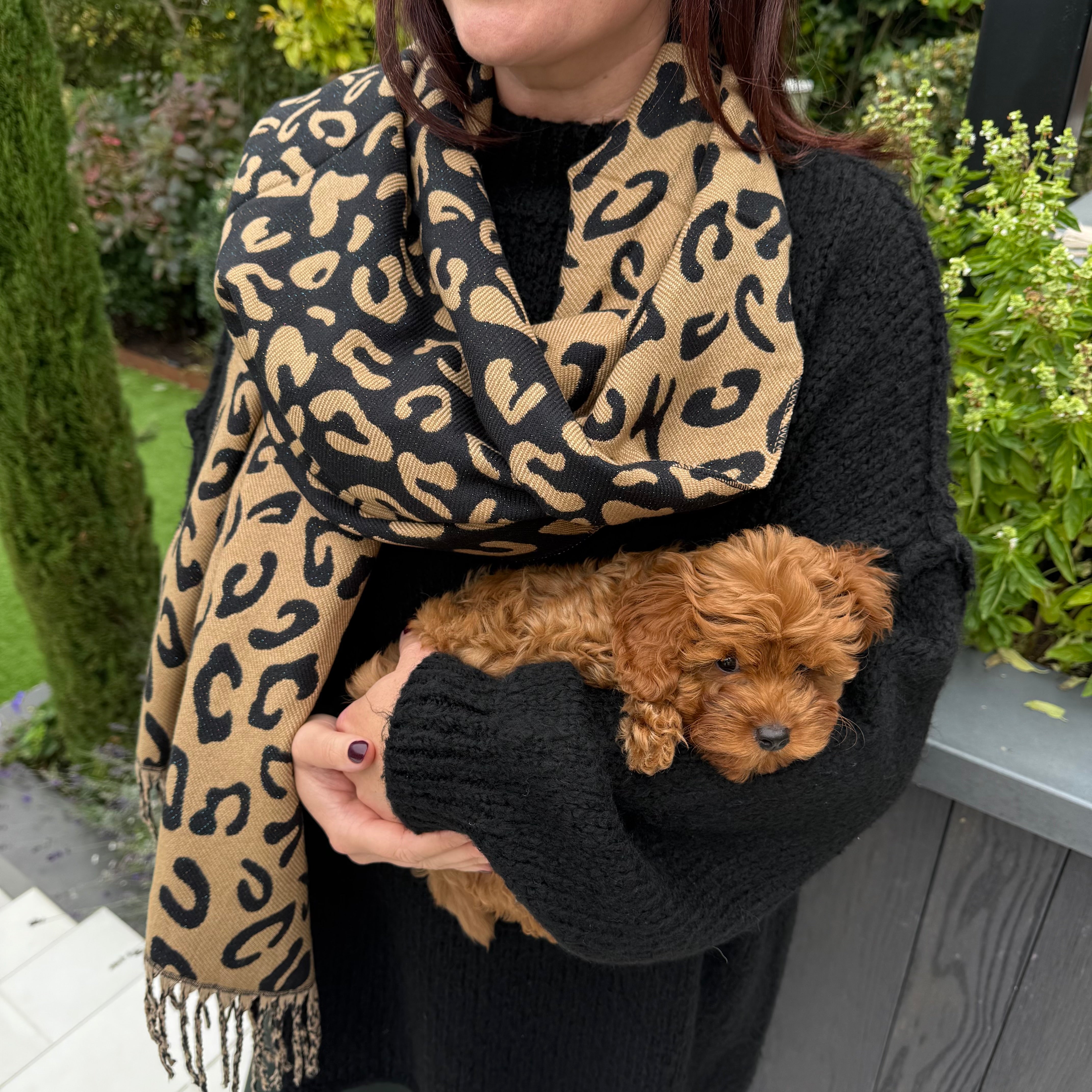 Cheetah print reversible super soft scarf