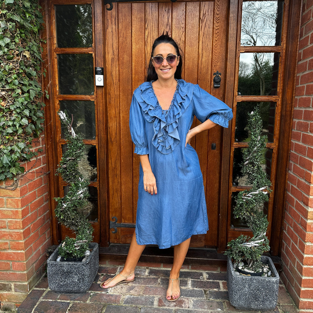 Tory Denim Dress